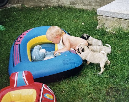 Moje vlastní cesta